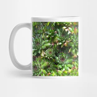 Succulent splendour  green bloom Mug